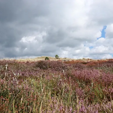 ベッド・アンド・ブレックファスト Hoeve Te Gast - Vakantieboerderij 3*