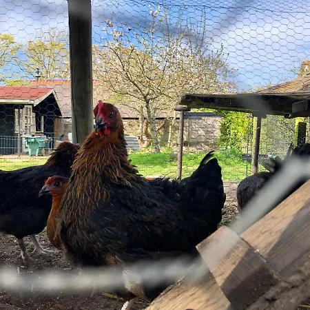 Hoeve Te Gast - Vakantieboerderij